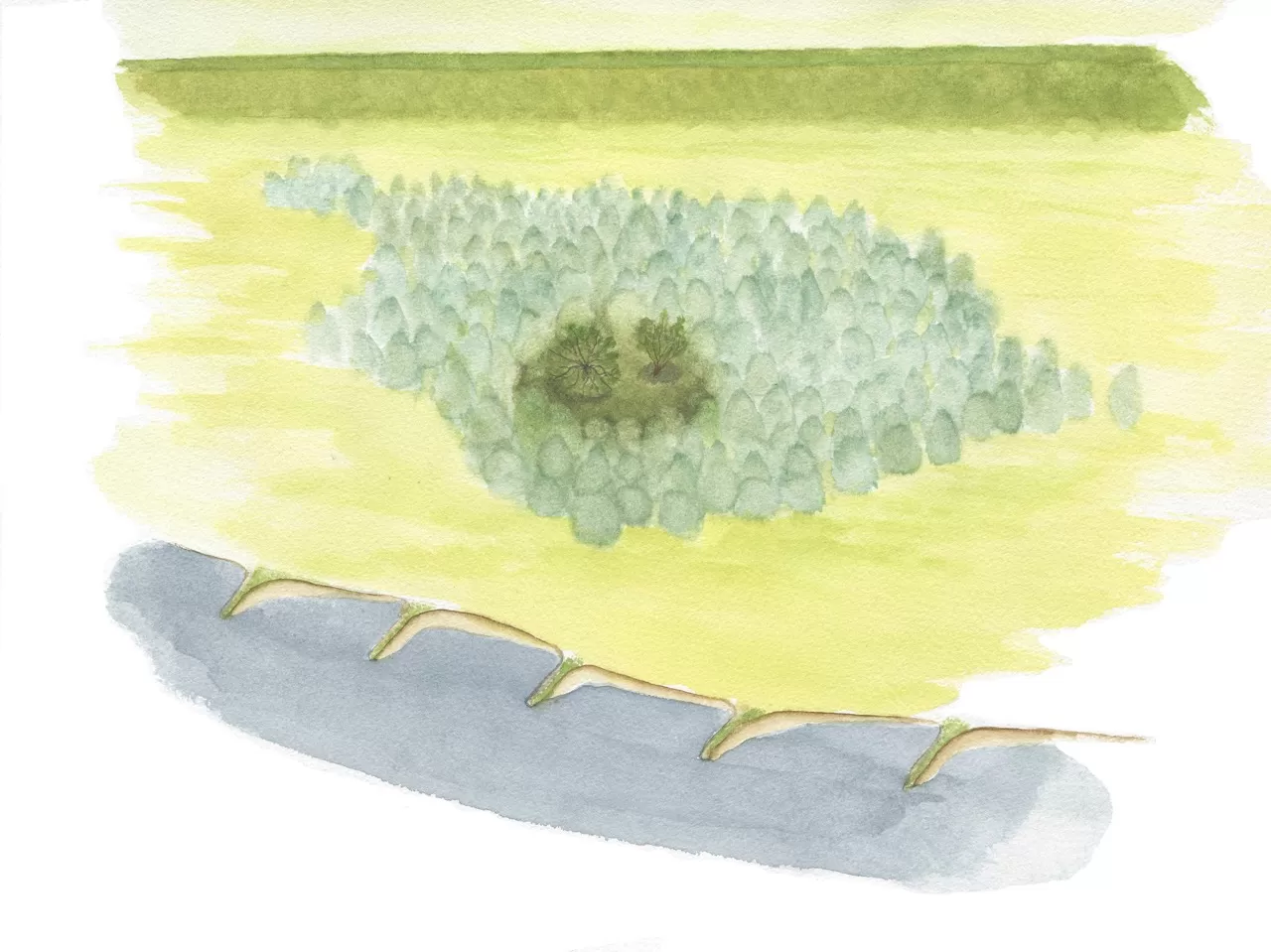 High-water refuge place top view - Dick Klees