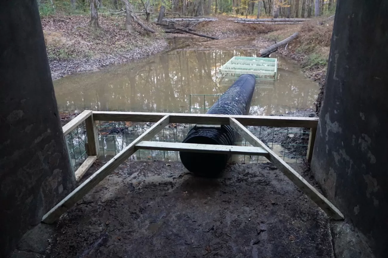 Cage in large culvert - S. Lisle