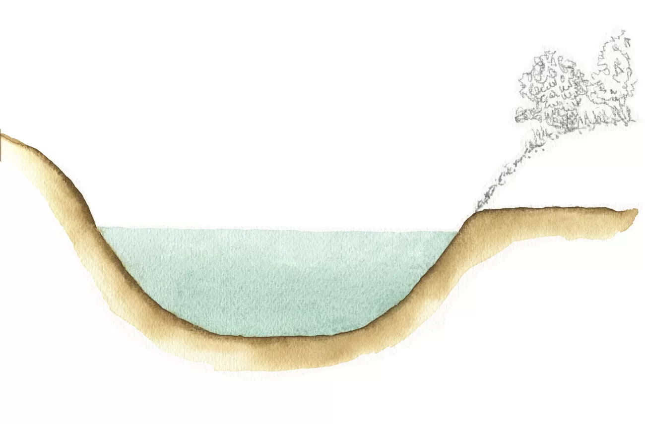 Lowering bank - Dick Klees