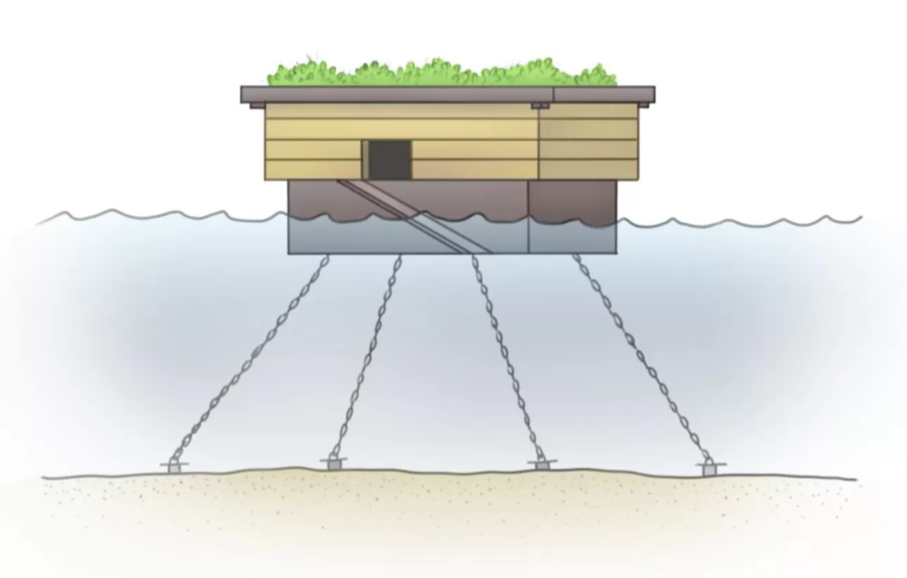 High-water refuge impression 3 - SeaBlueBird Studio