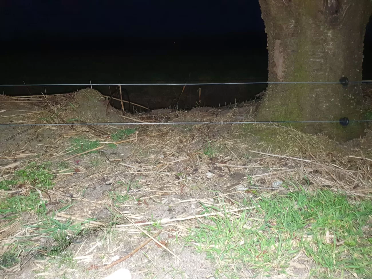 Shock wire - Rob Voesten