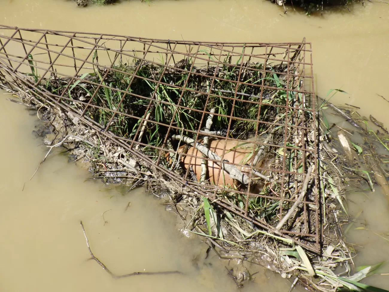 Clogged cage - J. Uhlikova